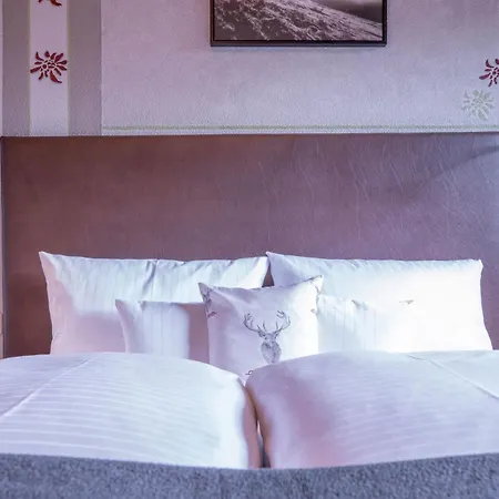Patteriol Apart-hotel-garni سانكت أنتون ام ارلبرغ
